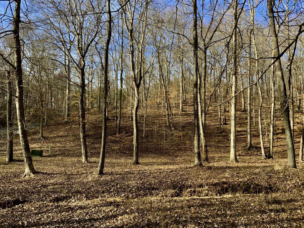 0 Forrest Crossing - Photo 1