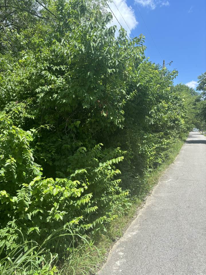 4306 Goins Rd - Photo 1