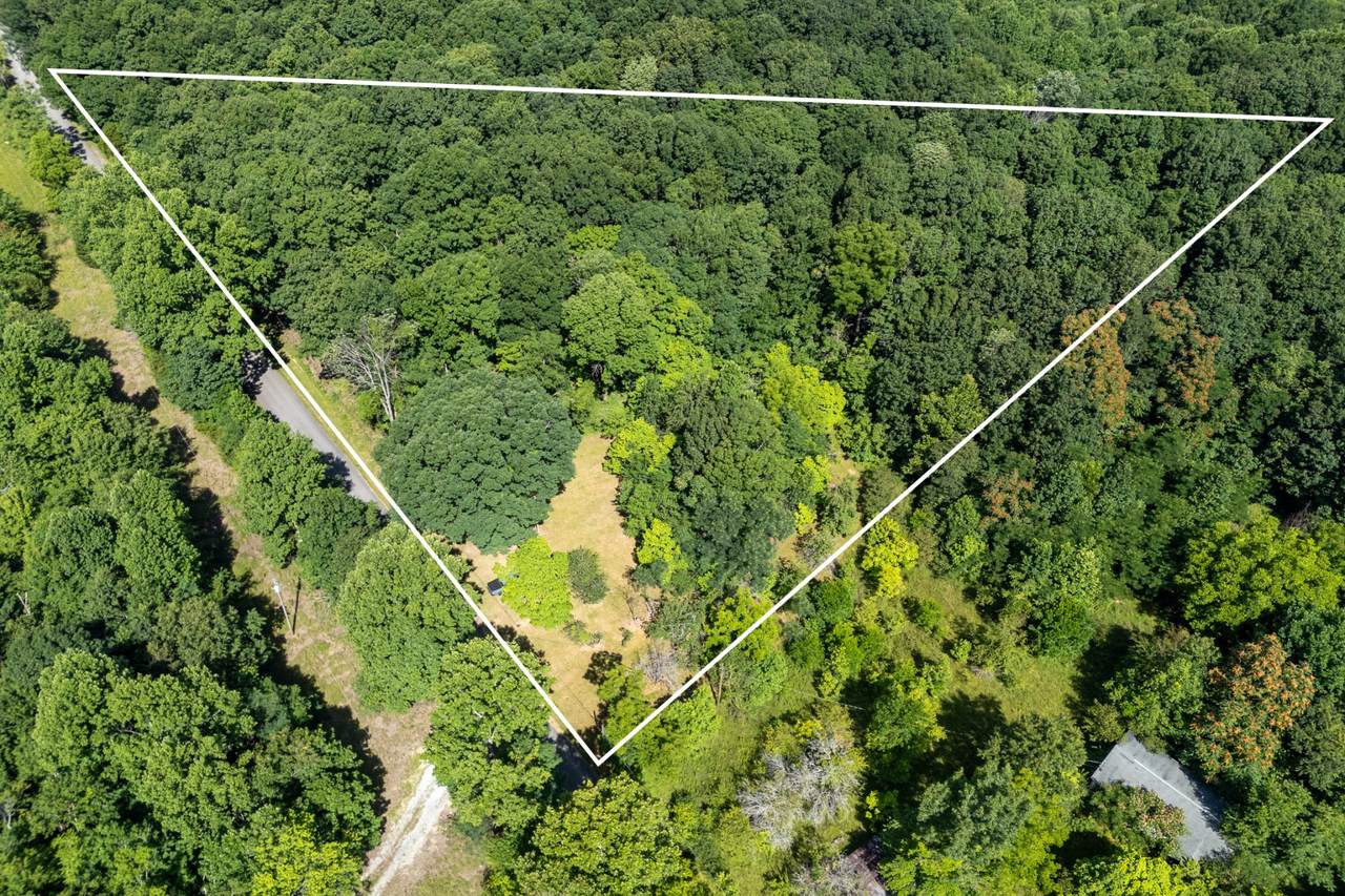 739 Stony Point Mtn Rd - Photo 1
