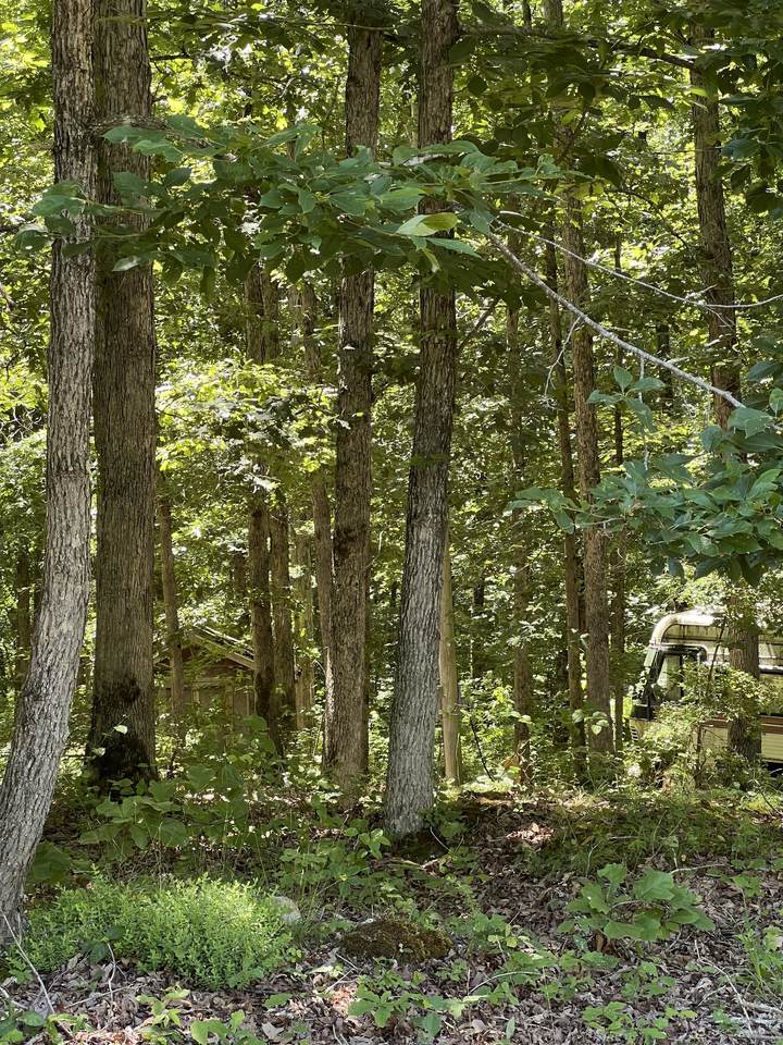 https://bt-photos.global.ssl.fastly.net/nashville/1280_boomver_1_RTC2667386-1.jpg