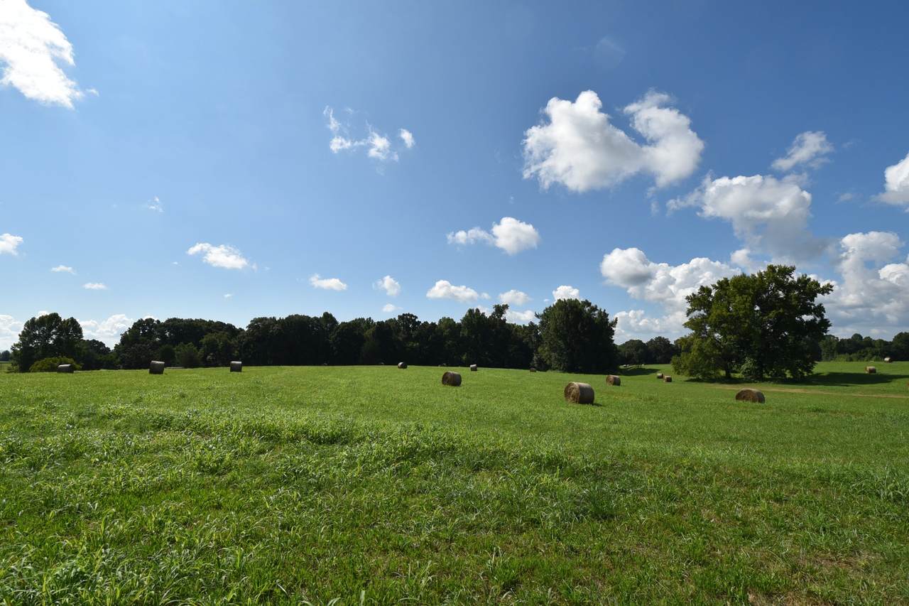 https://bt-photos.global.ssl.fastly.net/nashville/1280_boomver_1_RTC2671471-1.jpg