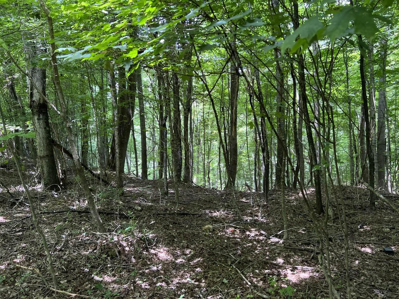 https://bt-photos.global.ssl.fastly.net/nashville/1280_boomver_1_RTC2675825-1.jpg