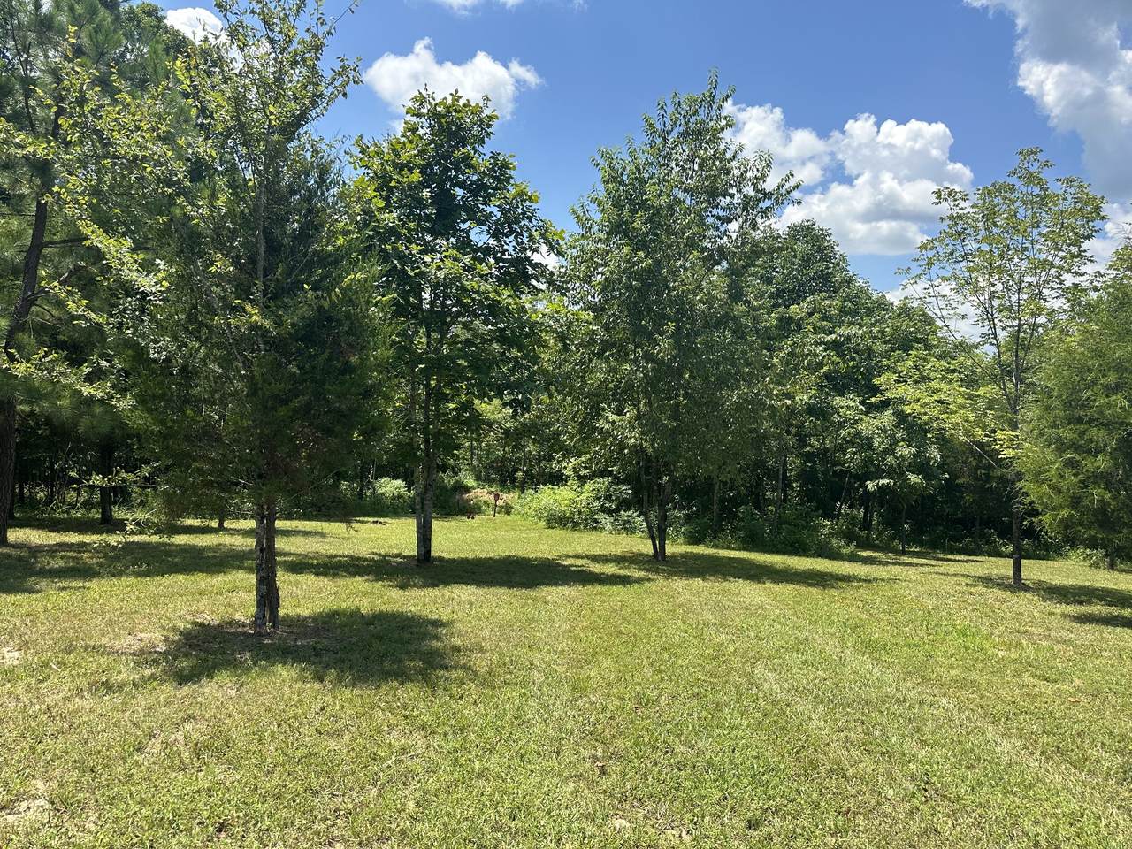 https://bt-photos.global.ssl.fastly.net/nashville/1280_boomver_1_RTC2678312-1.jpg