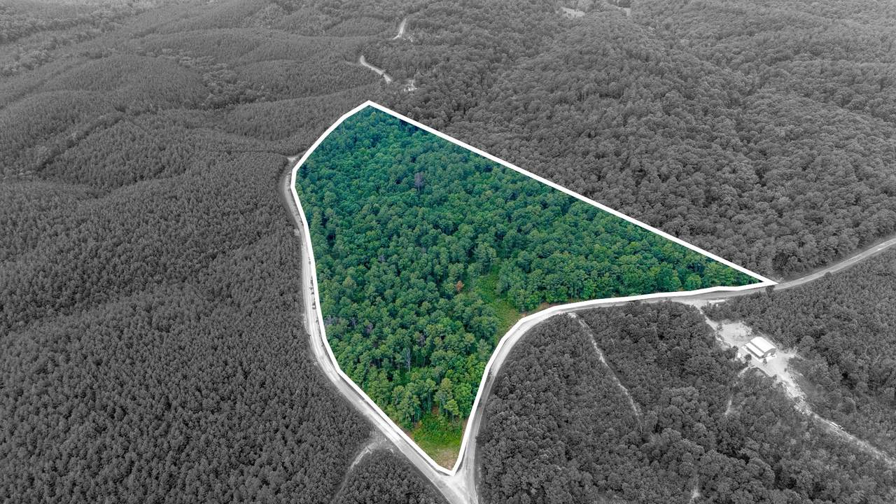 8197 Rockhouse Rd - Photo 1