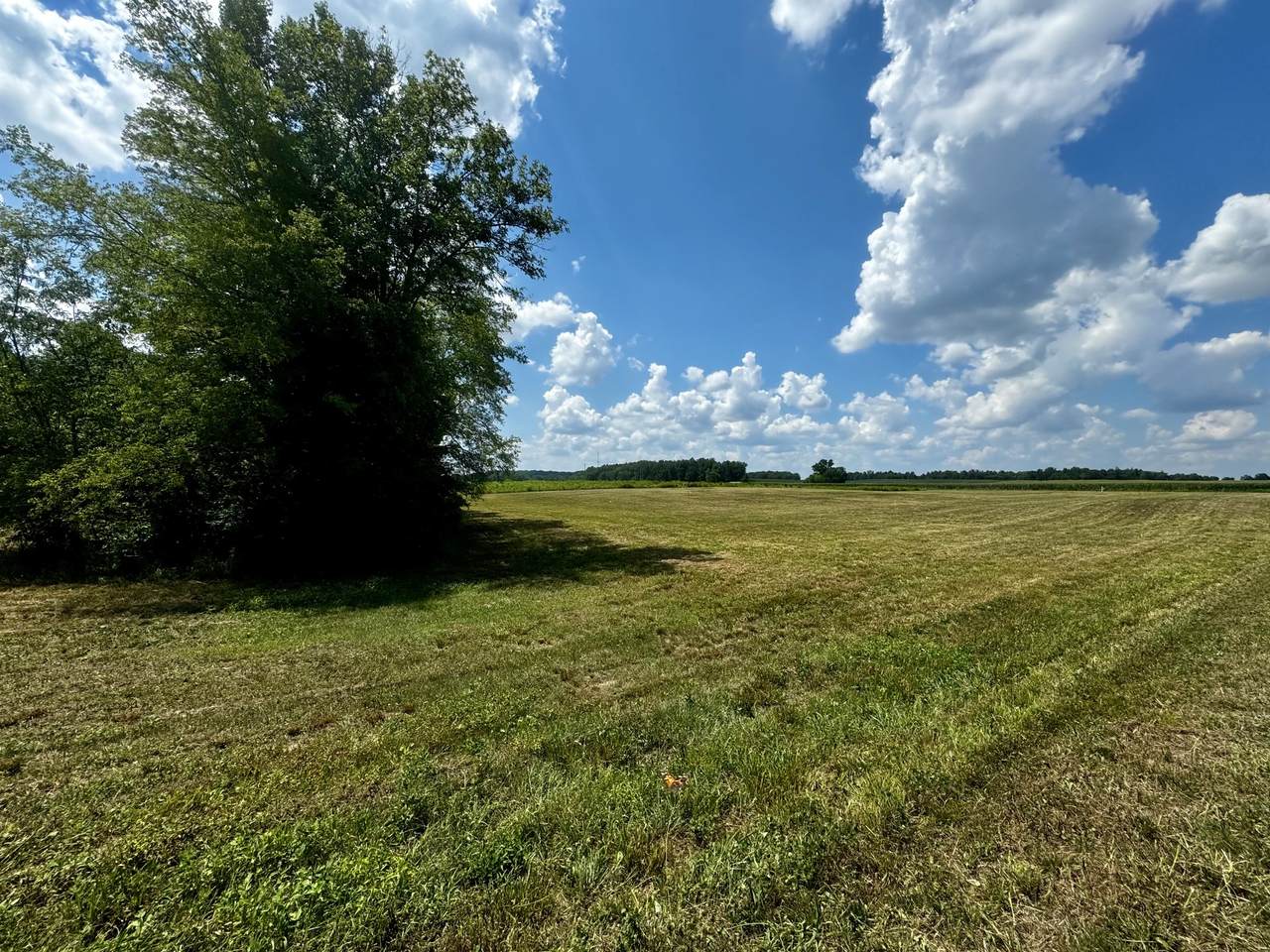 0 Hickory Grove Rd - Photo 1