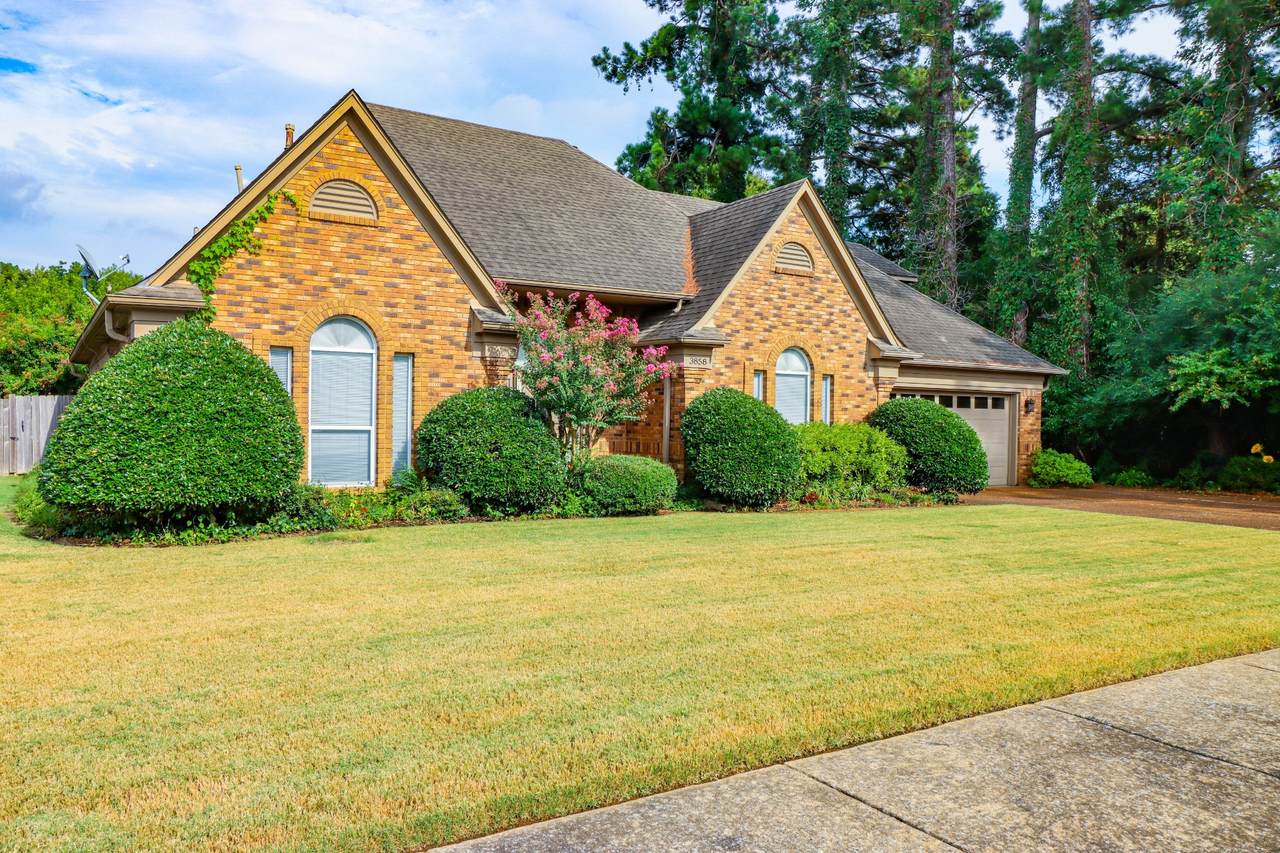 https://bt-photos.global.ssl.fastly.net/nashville/1280_boomver_1_RTC2696275-1.jpg
