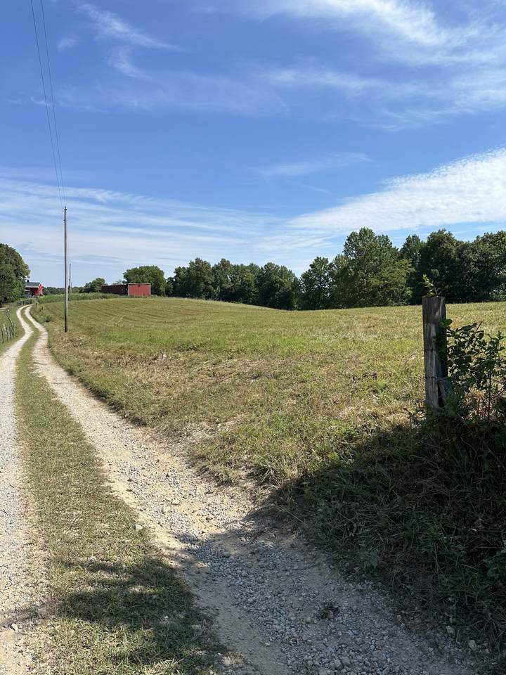 https://bt-photos.global.ssl.fastly.net/nashville/1280_boomver_1_RTC2700980-1.jpg