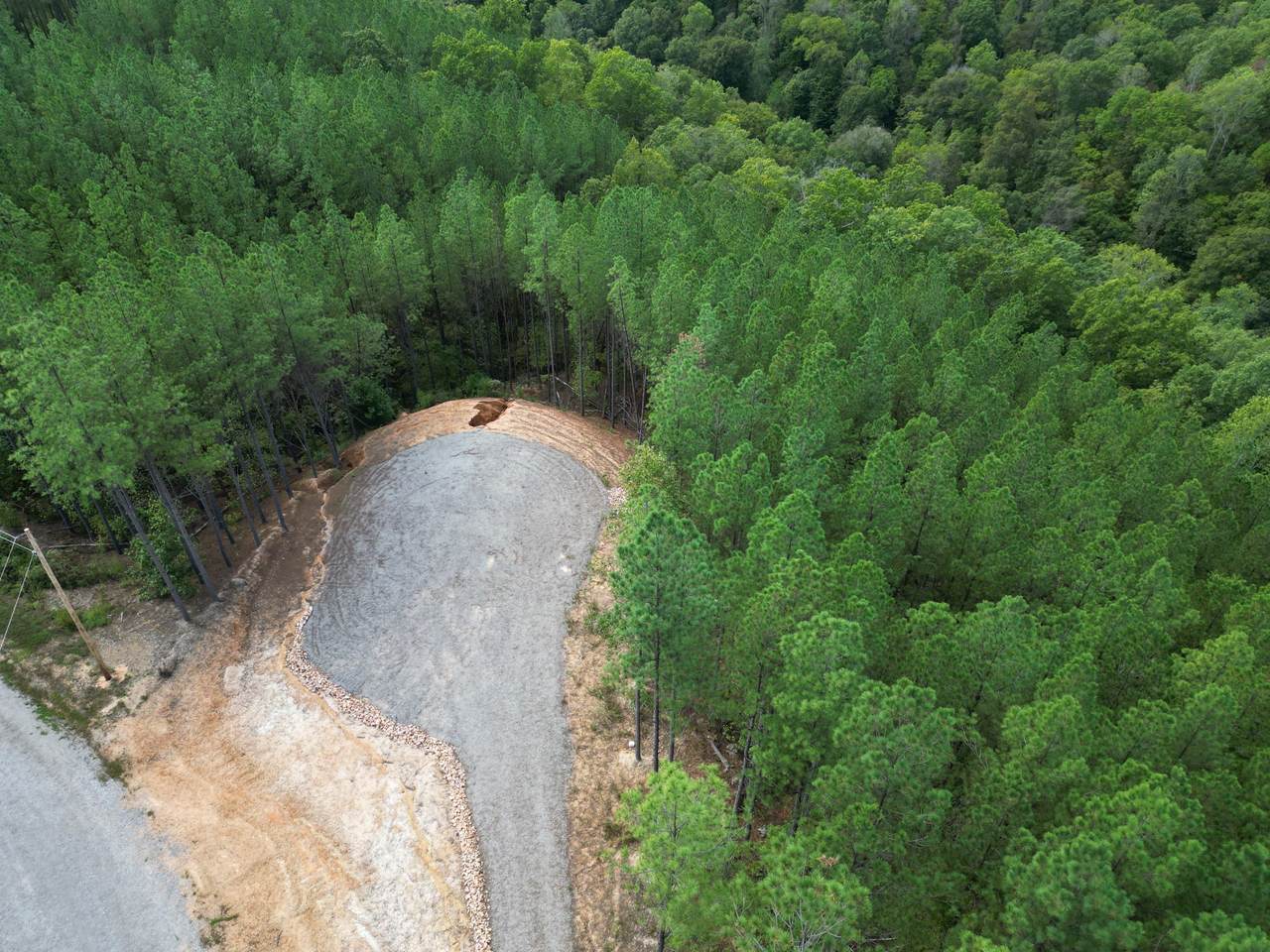 1406 Hillbrook Dr - Photo 1