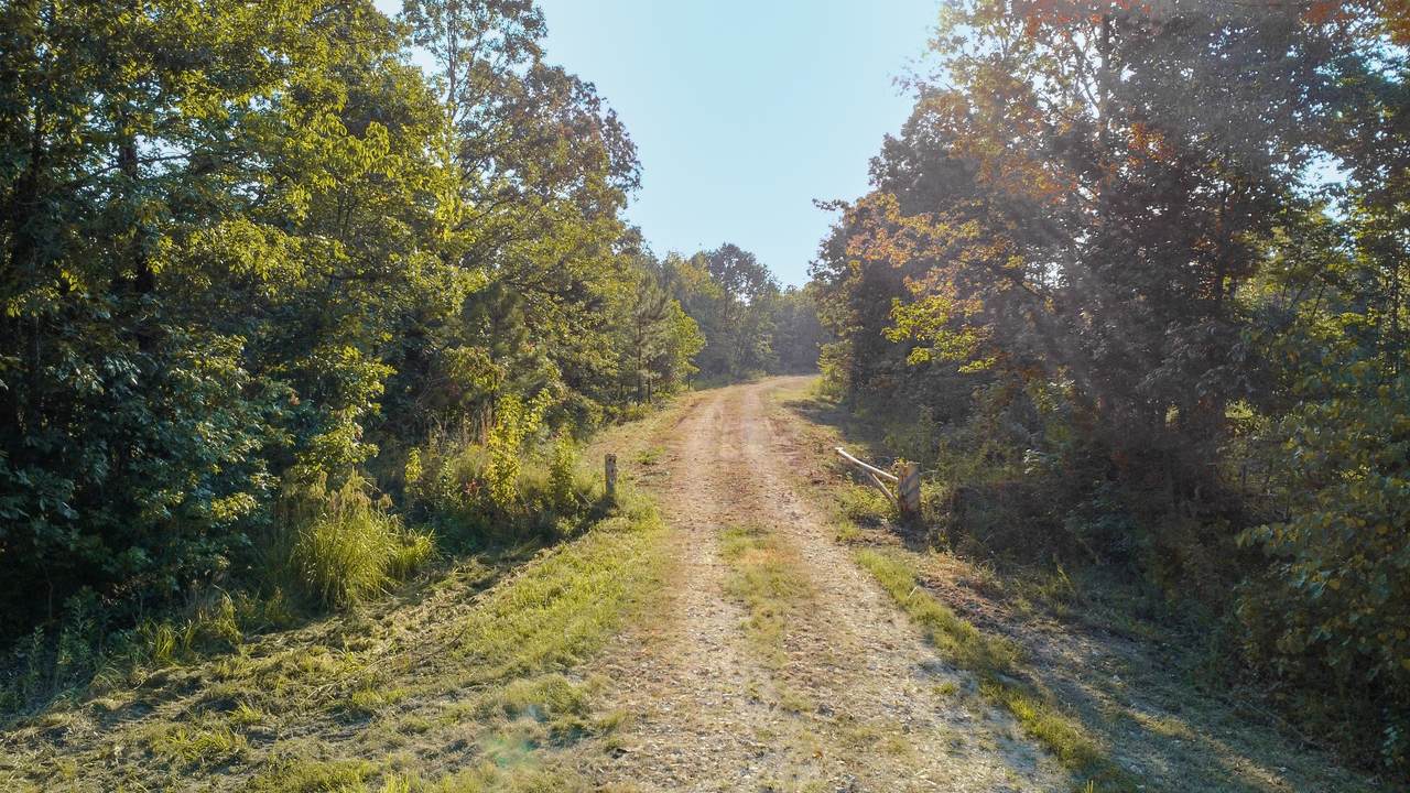 https://bt-photos.global.ssl.fastly.net/nashville/1280_boomver_1_RTC2706646-1.jpg