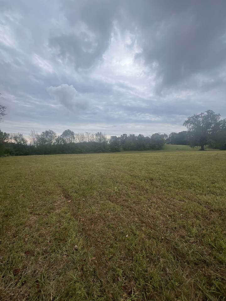 0 Smithville Hwy - Photo 1
