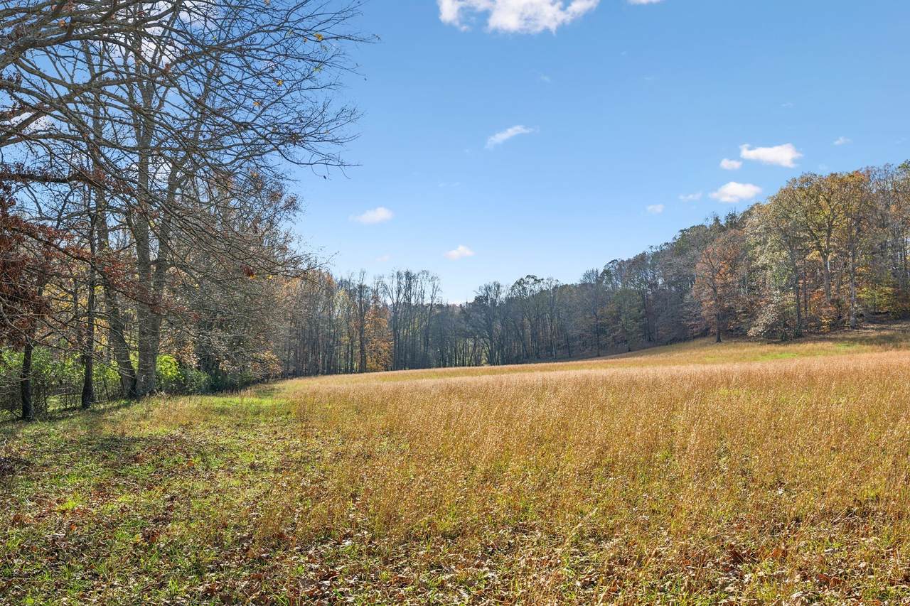 https://bt-photos.global.ssl.fastly.net/nashville/1280_boomver_1_RTC2761514-1.jpg
