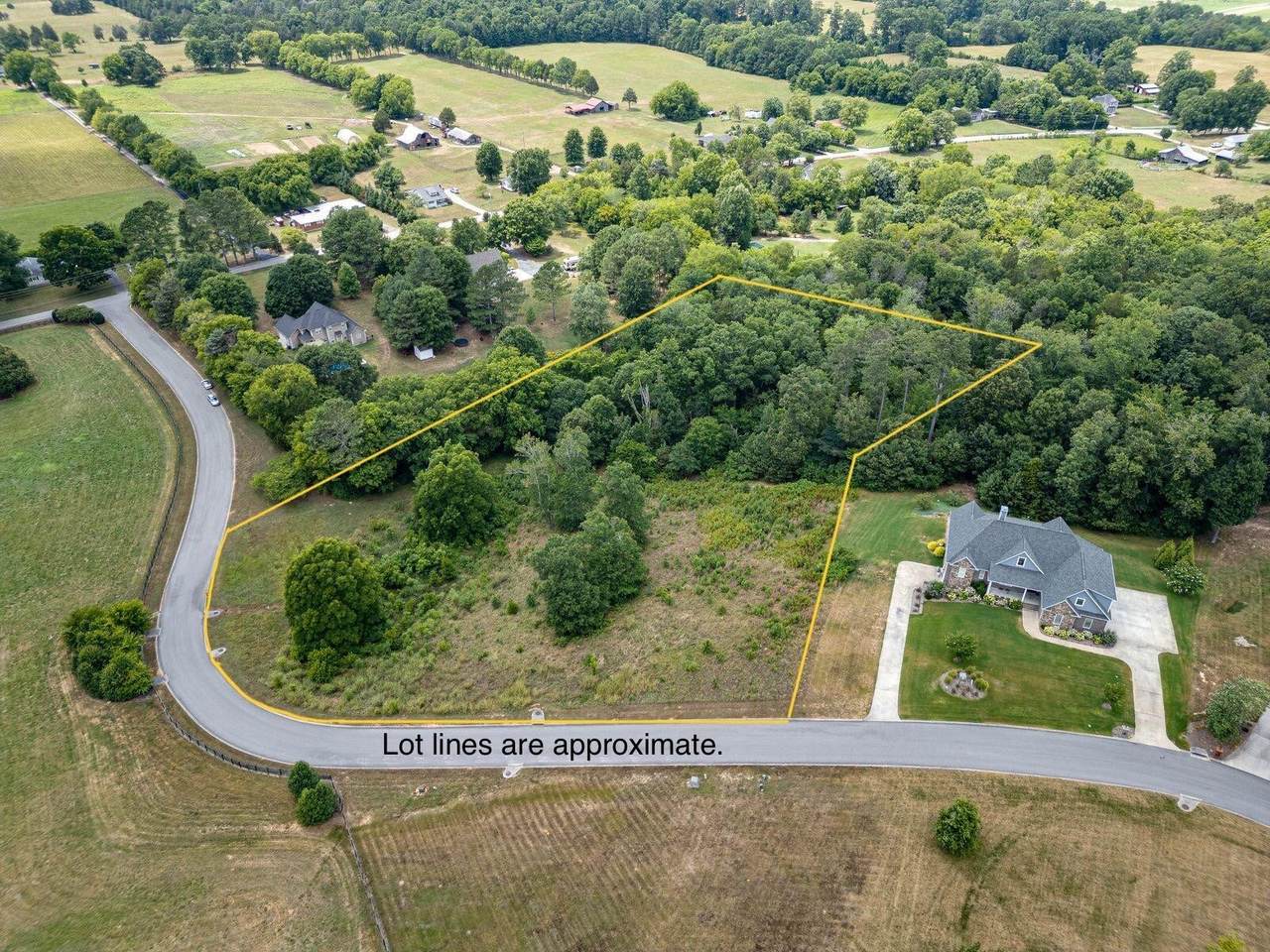 0 Overlook Drive - Photo 1