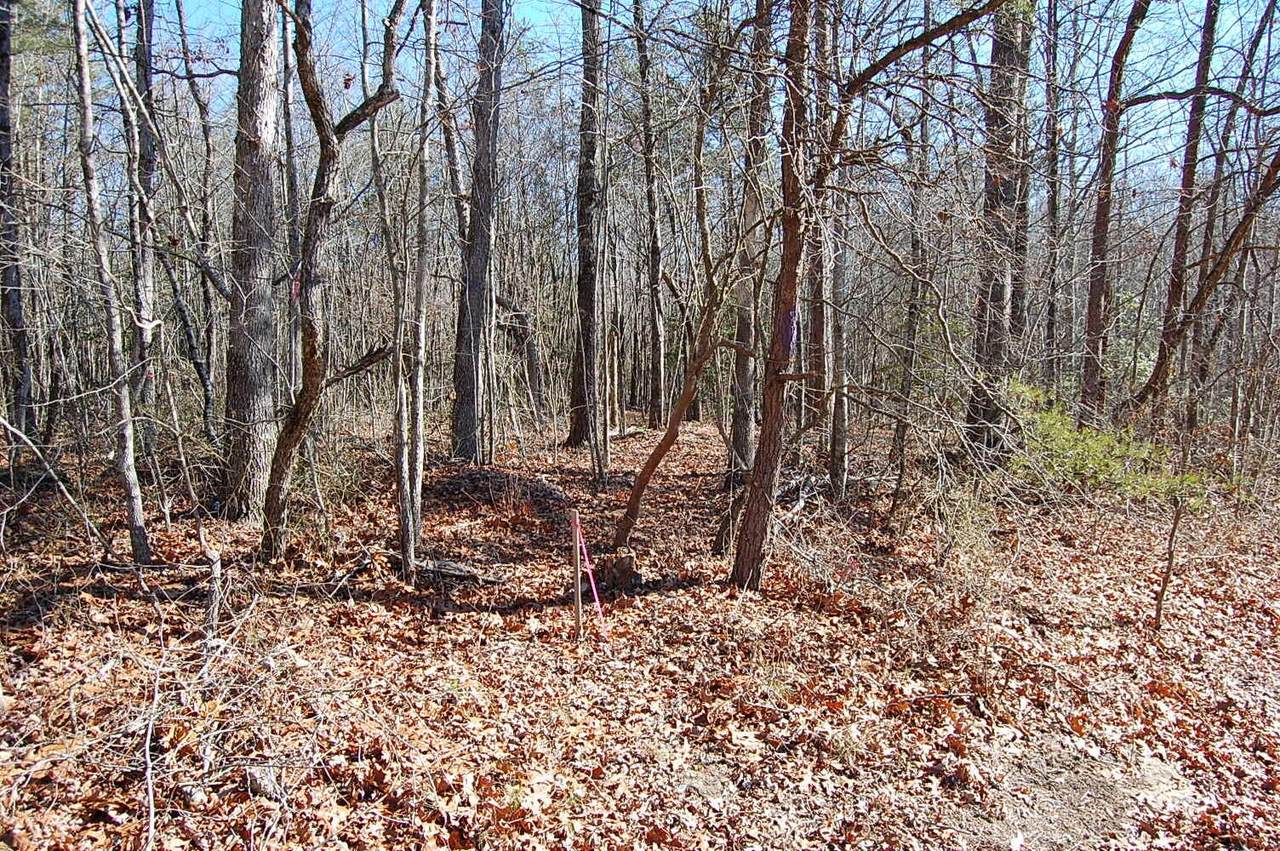 https://bt-photos.global.ssl.fastly.net/nashville/1280_boomver_1_RTC2776612-1.jpg