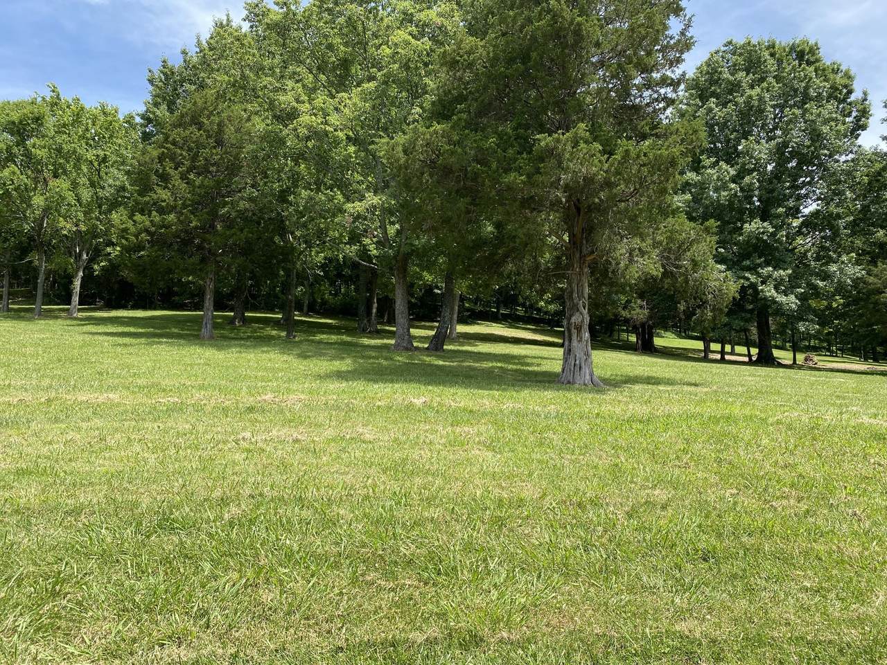 9554L Cloverrcroft Rd - Photo 1