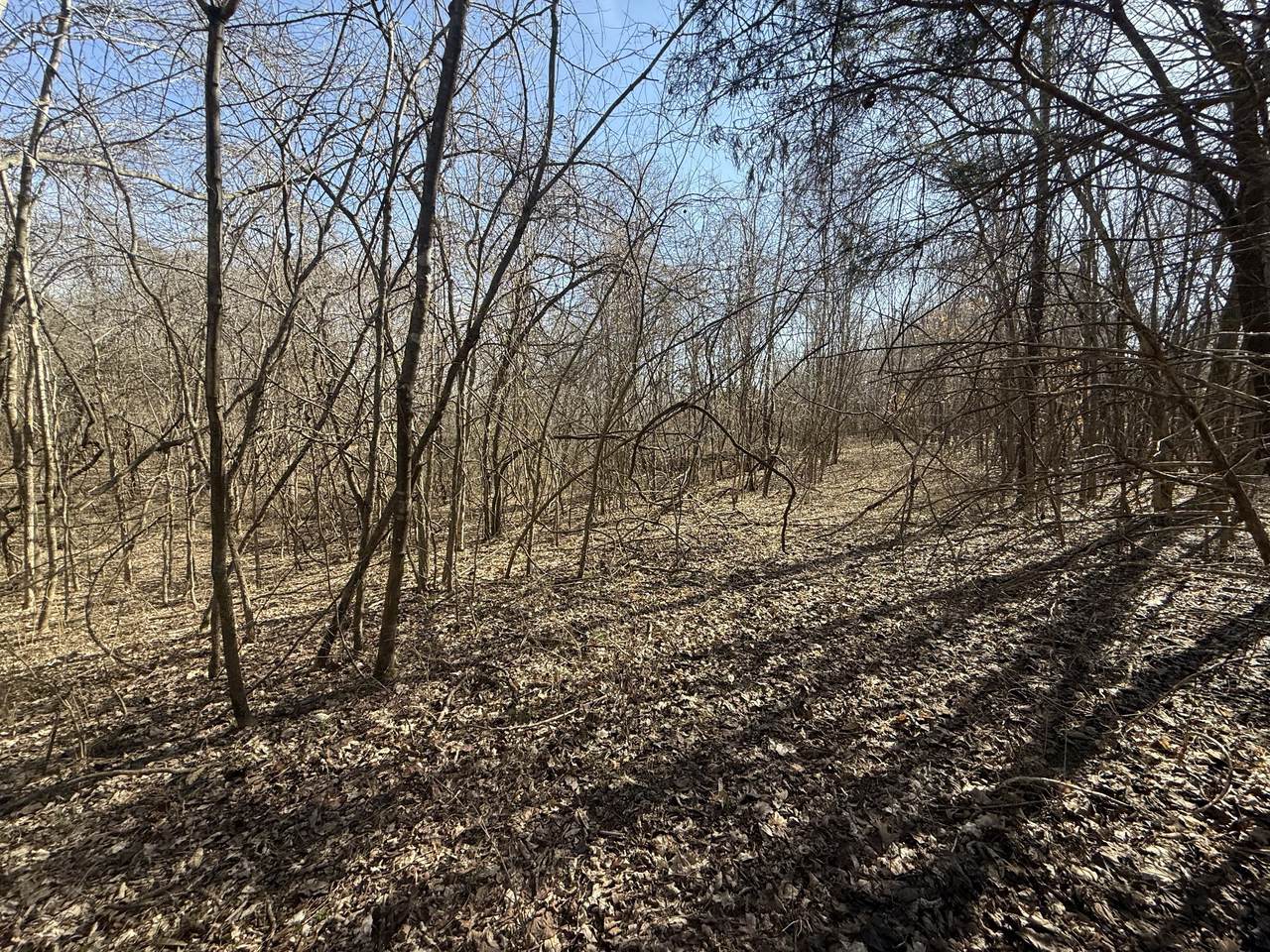 https://bt-photos.global.ssl.fastly.net/nashville/1280_boomver_1_RTC2798399-1.jpg