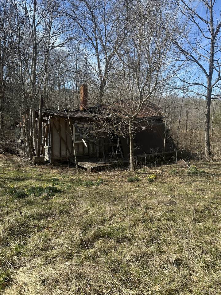 0 Buck Branch Rd - Photo 1