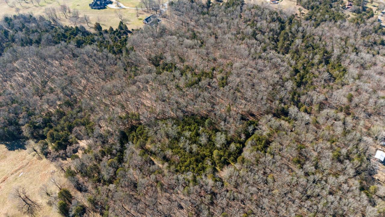 35 Farmstead Lane - Photo 1