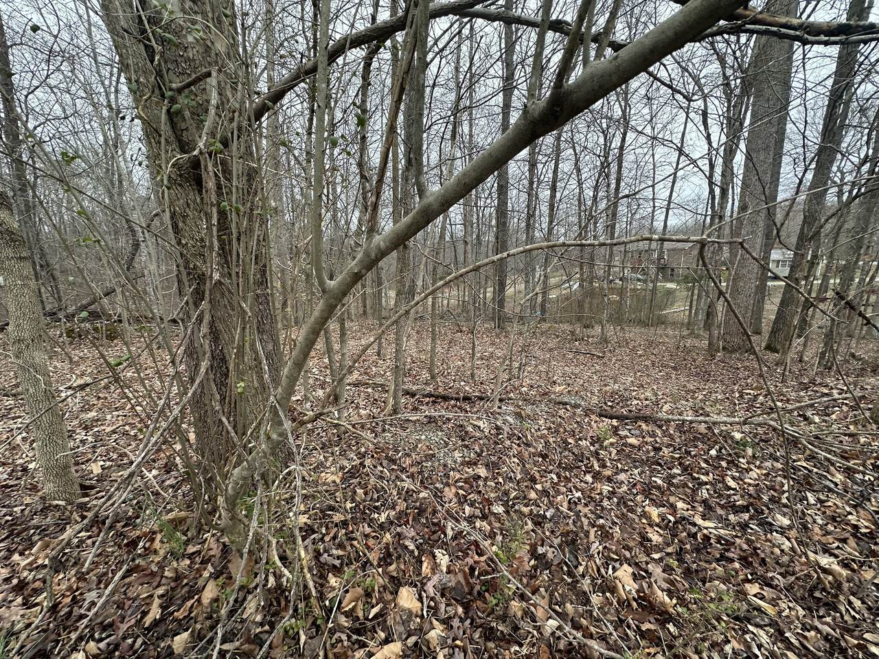 9 Ginger Drive - Photo 1