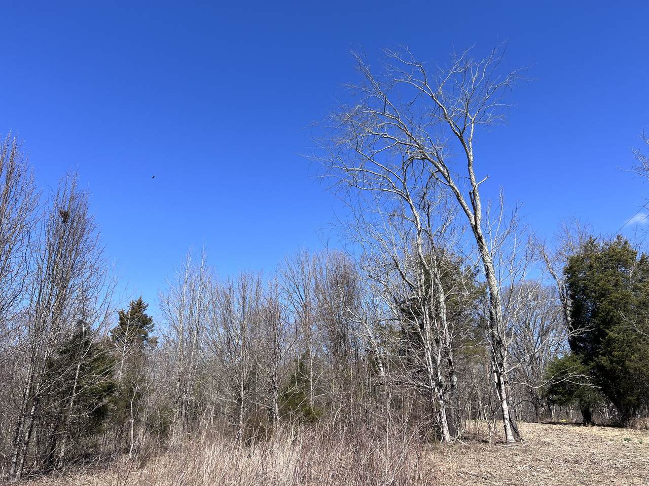 6732 Clarksville Pike - Photo 1