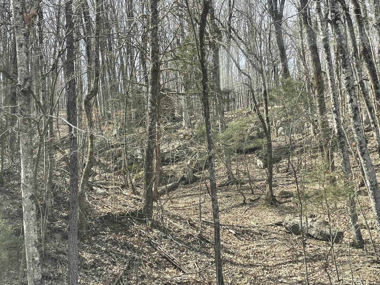 0 Roarks Cove Rd - Photo 1