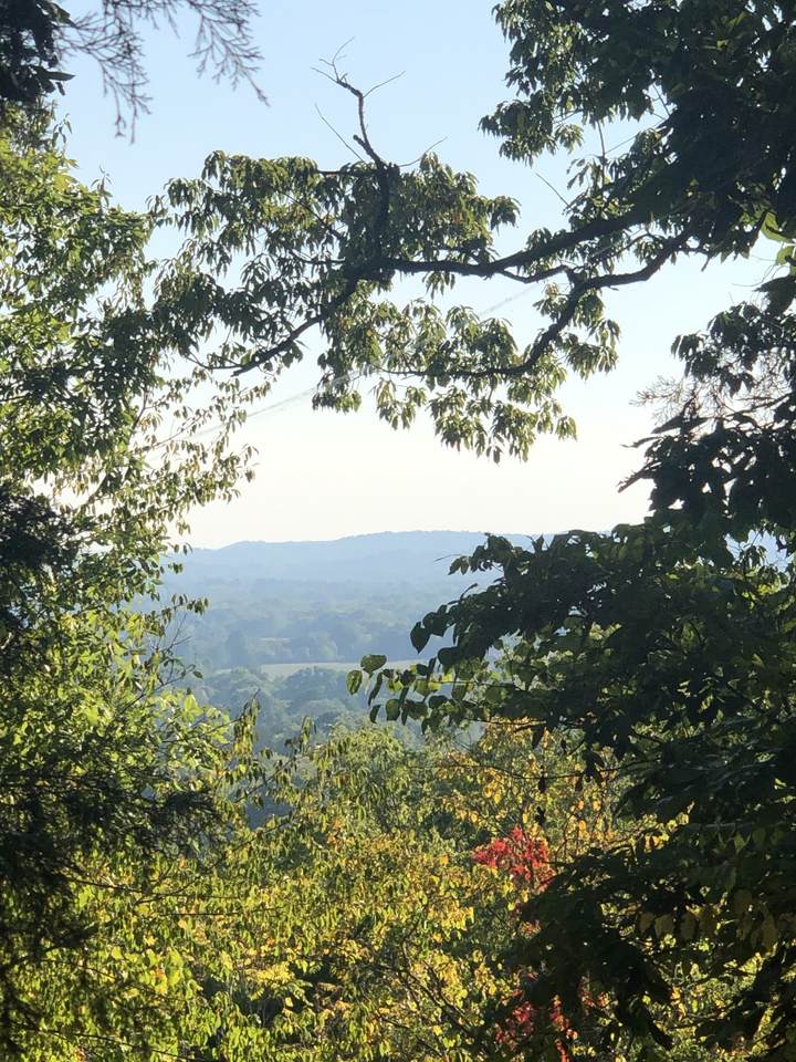 1462 Sneed Rd - Photo 1