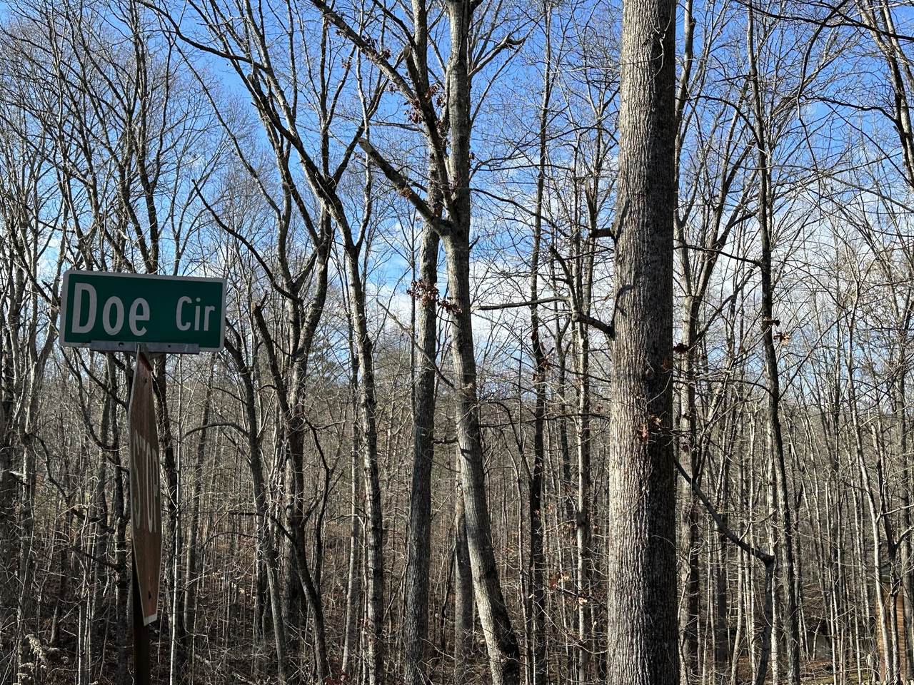 0 Doe Circle - Photo 1