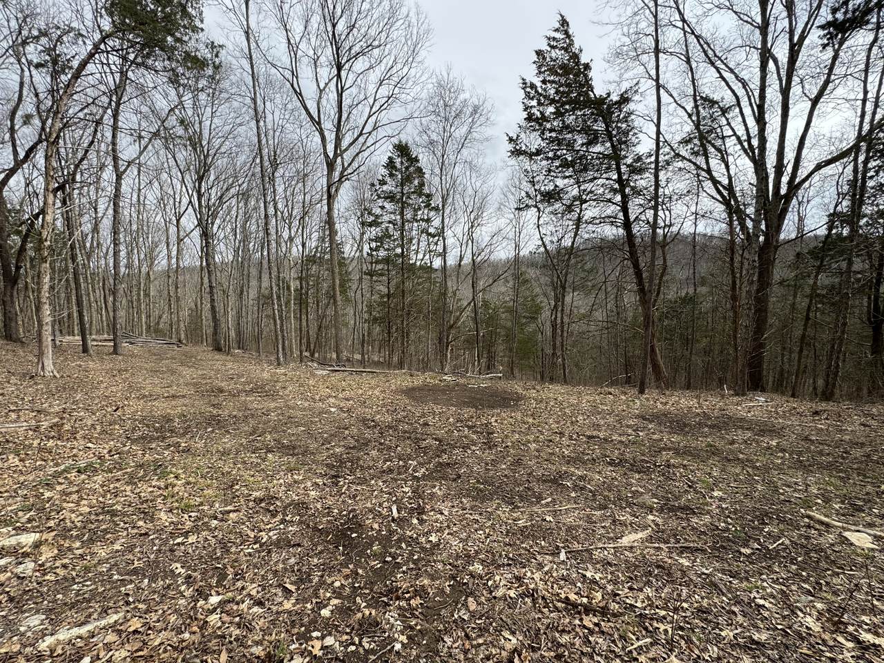 1790 Tolbert Hollow Rd - Photo 1