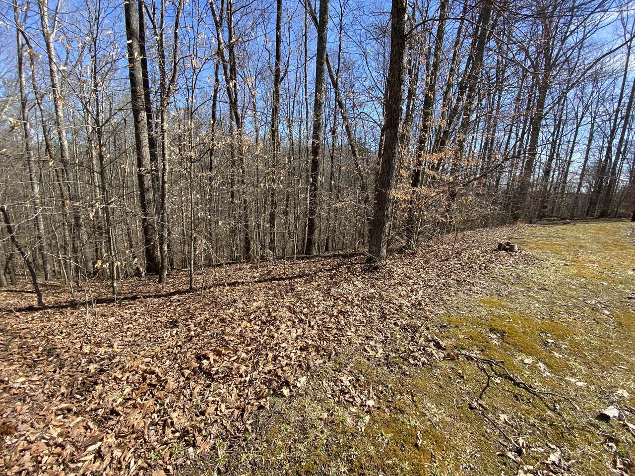 0 Sunset Pointe - Photo 1