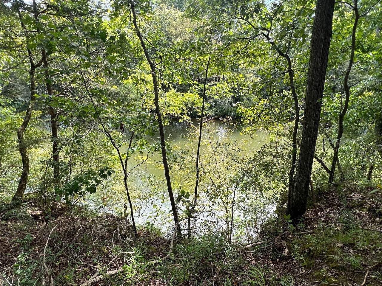 0 Hidden River Rd - Photo 1