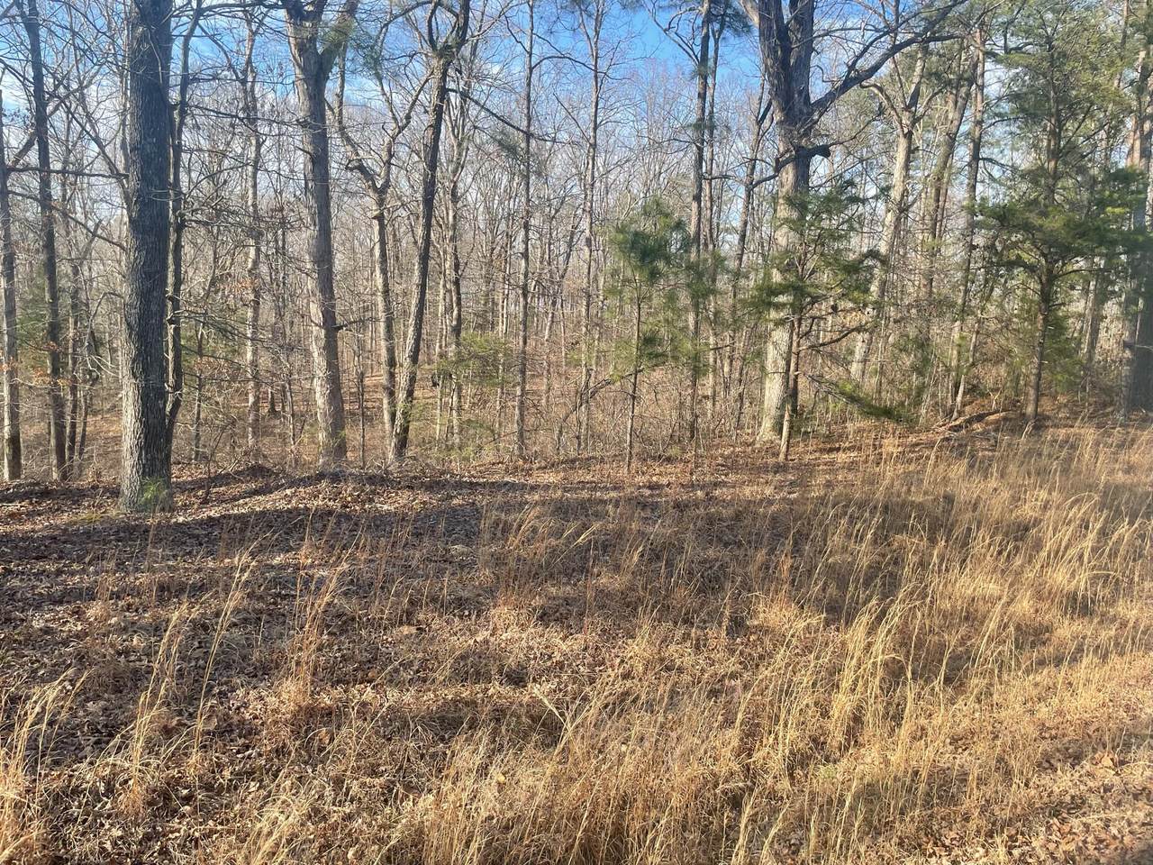 217 Magee Trail - Photo 1