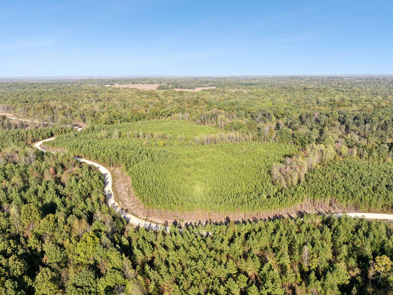 0 Cox Hollow Rd Lot 33C - Photo 1