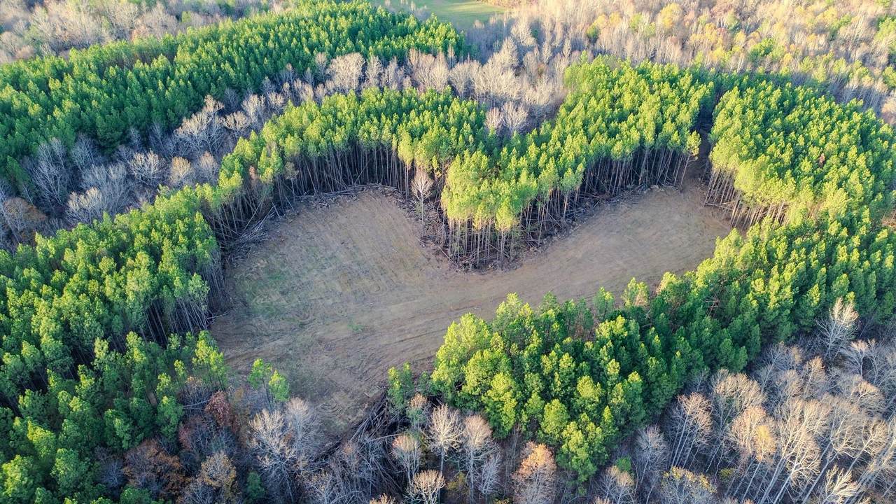 0 Hurricane Creek Road - Photo 1