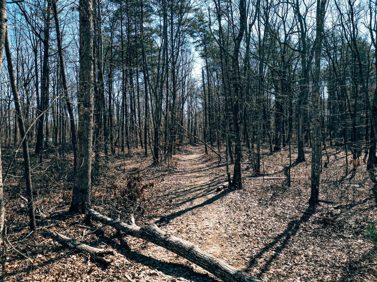 73 Twilight Pt - Photo 1