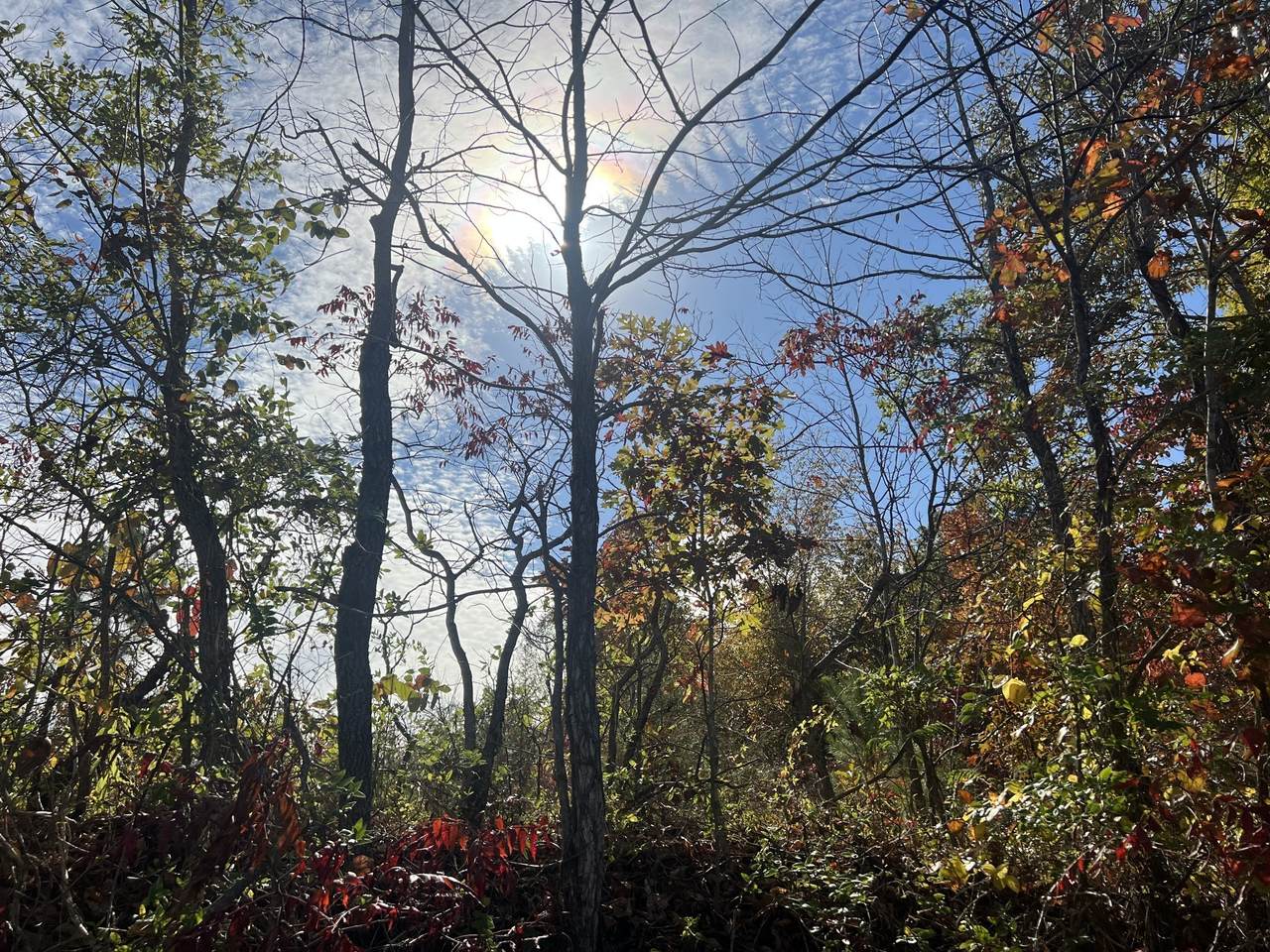 4 Clyde Webb - Photo 1