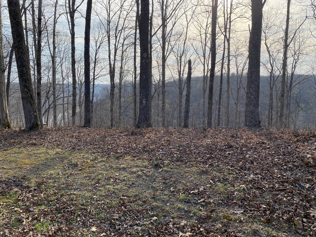 0 Harbor Green Pl - Photo 1