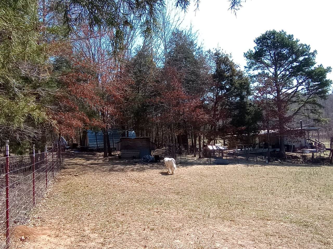 490 Early Bird Ln - Photo 1