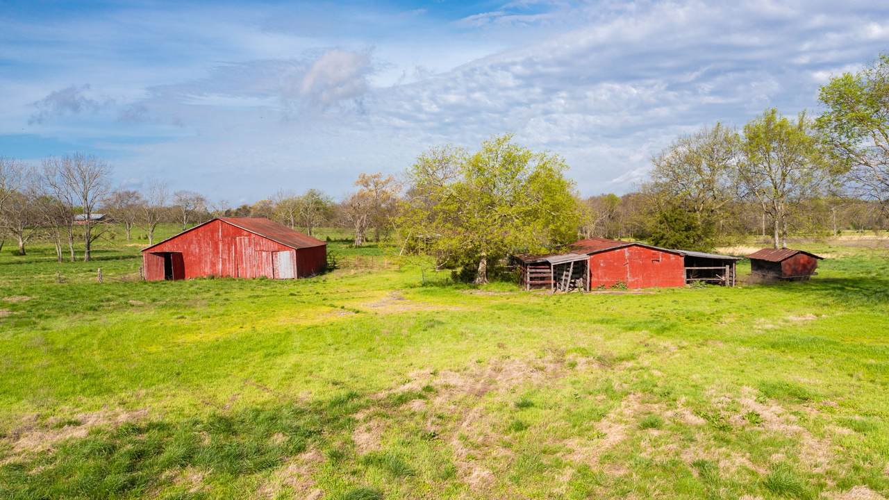 https://bt-photos.global.ssl.fastly.net/nashville/1280_boomver_1_RTC2814648-1.jpg