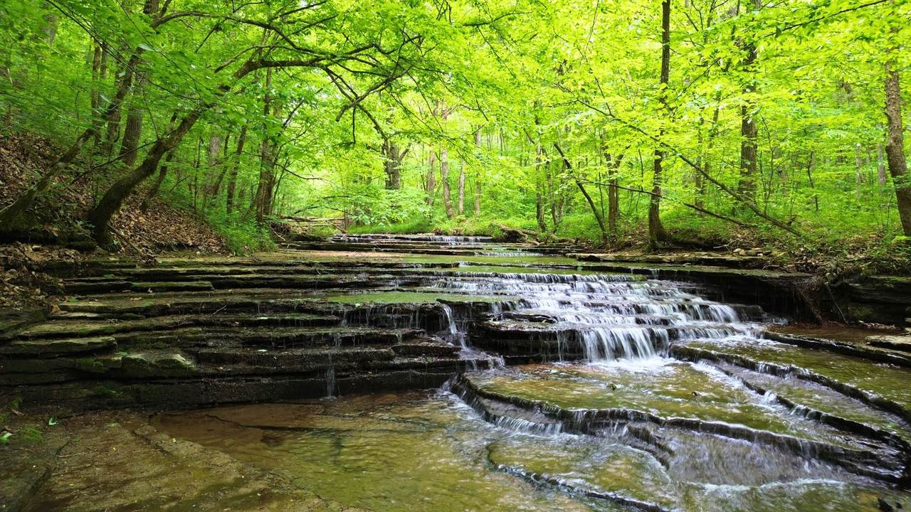 0 Lock A Rd - Photo 1