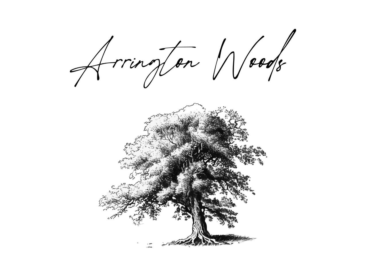 0 Wilder Pass - Photo 1