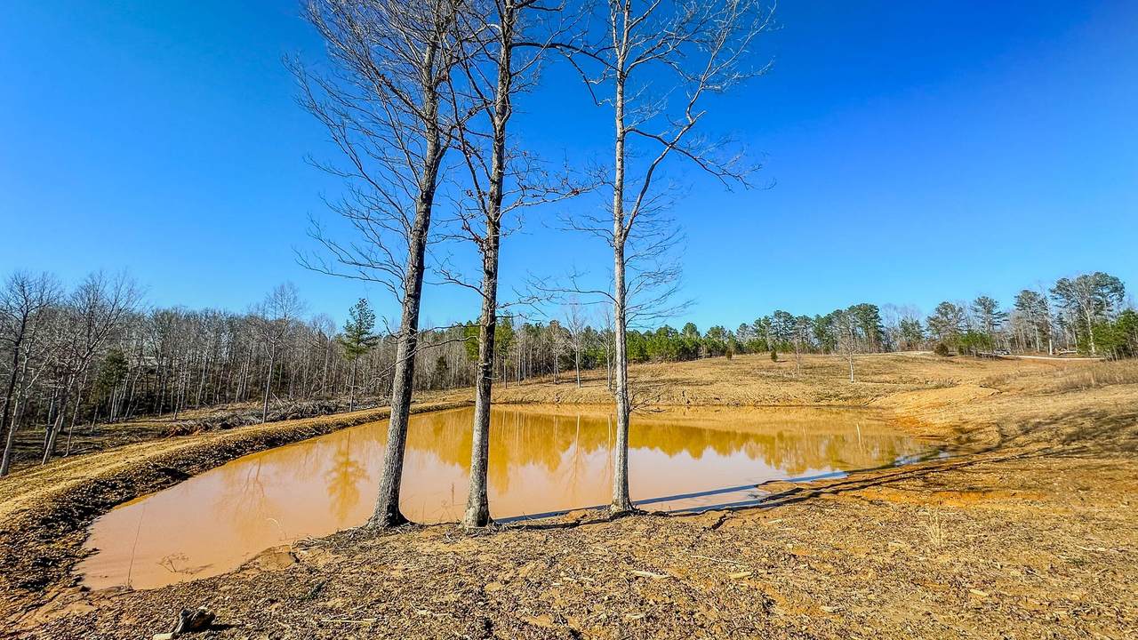 0 Jeanette Holladay Rd - Photo 1