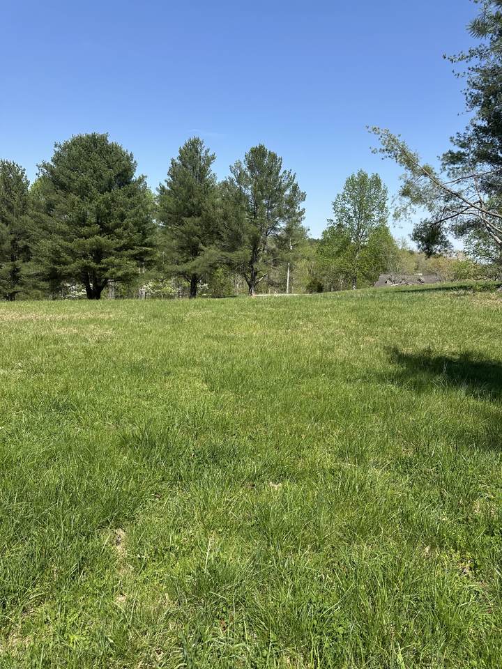 0 Fish Hook Dr - Photo 1