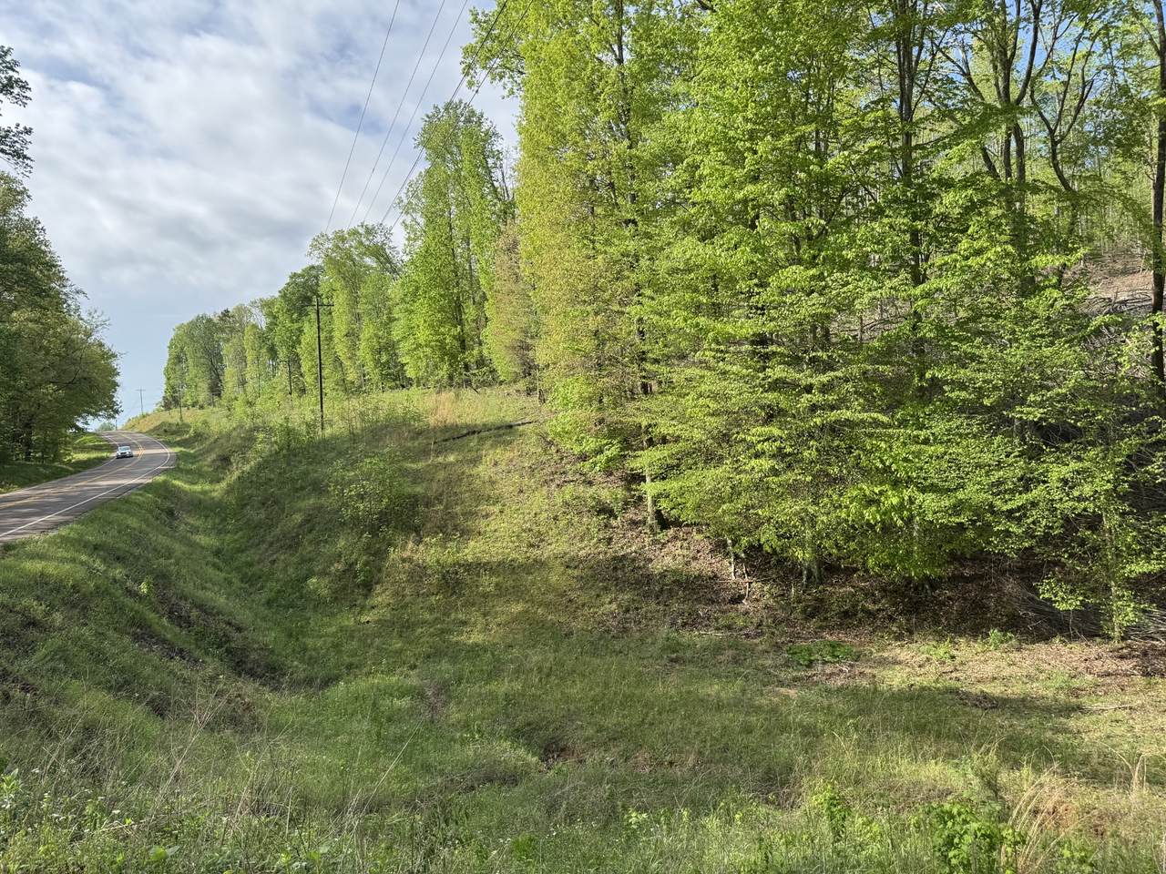 0 Waynesboro Hwy - Photo 1