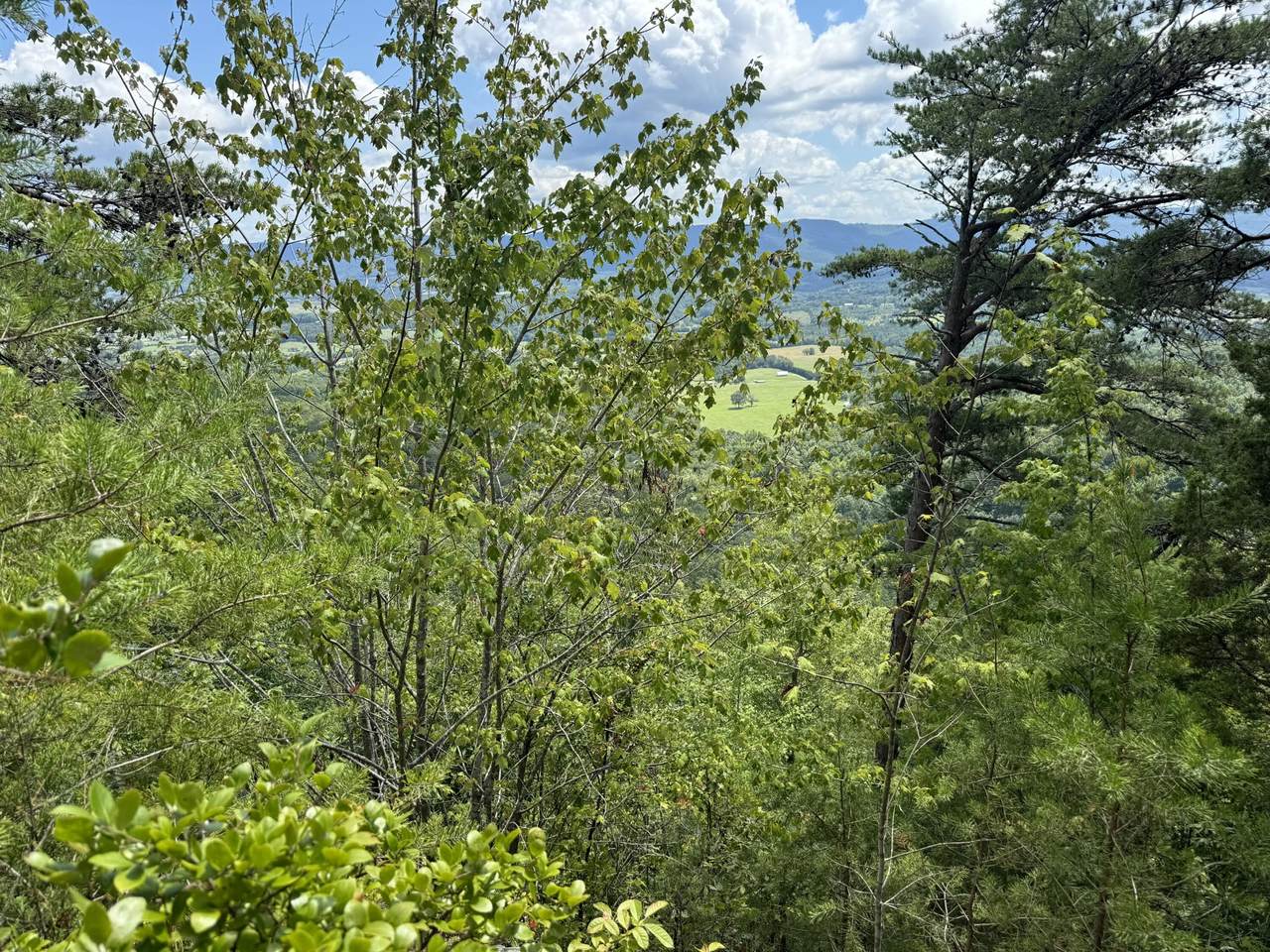https://bt-photos.global.ssl.fastly.net/nashville/1280_boomver_1_RTC2821452-1.jpg