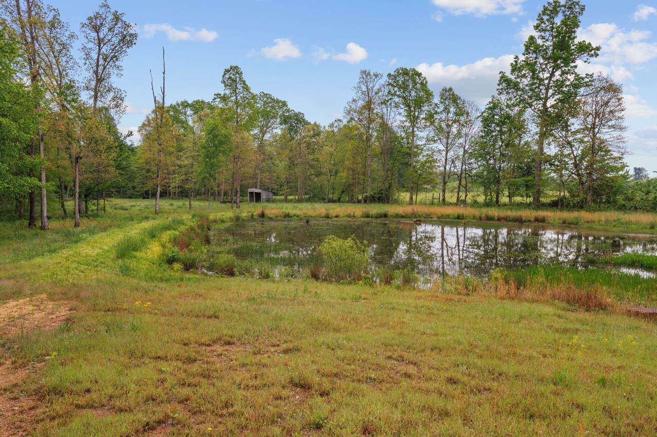 https://bt-photos.global.ssl.fastly.net/nashville/1280_boomver_1_RTC2882442-1.jpg