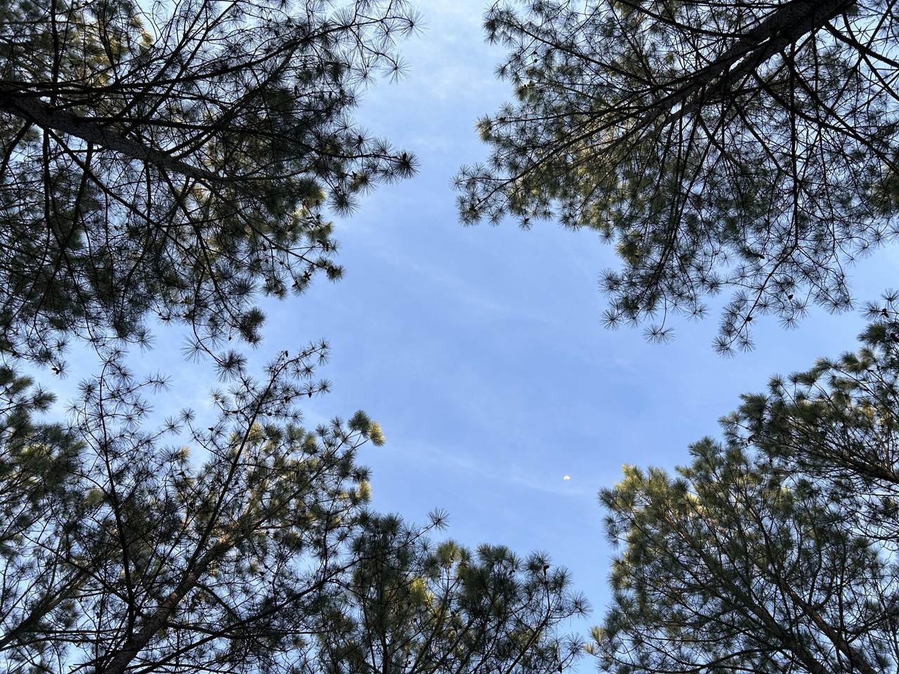 362 Cumberland Circle - Photo 1