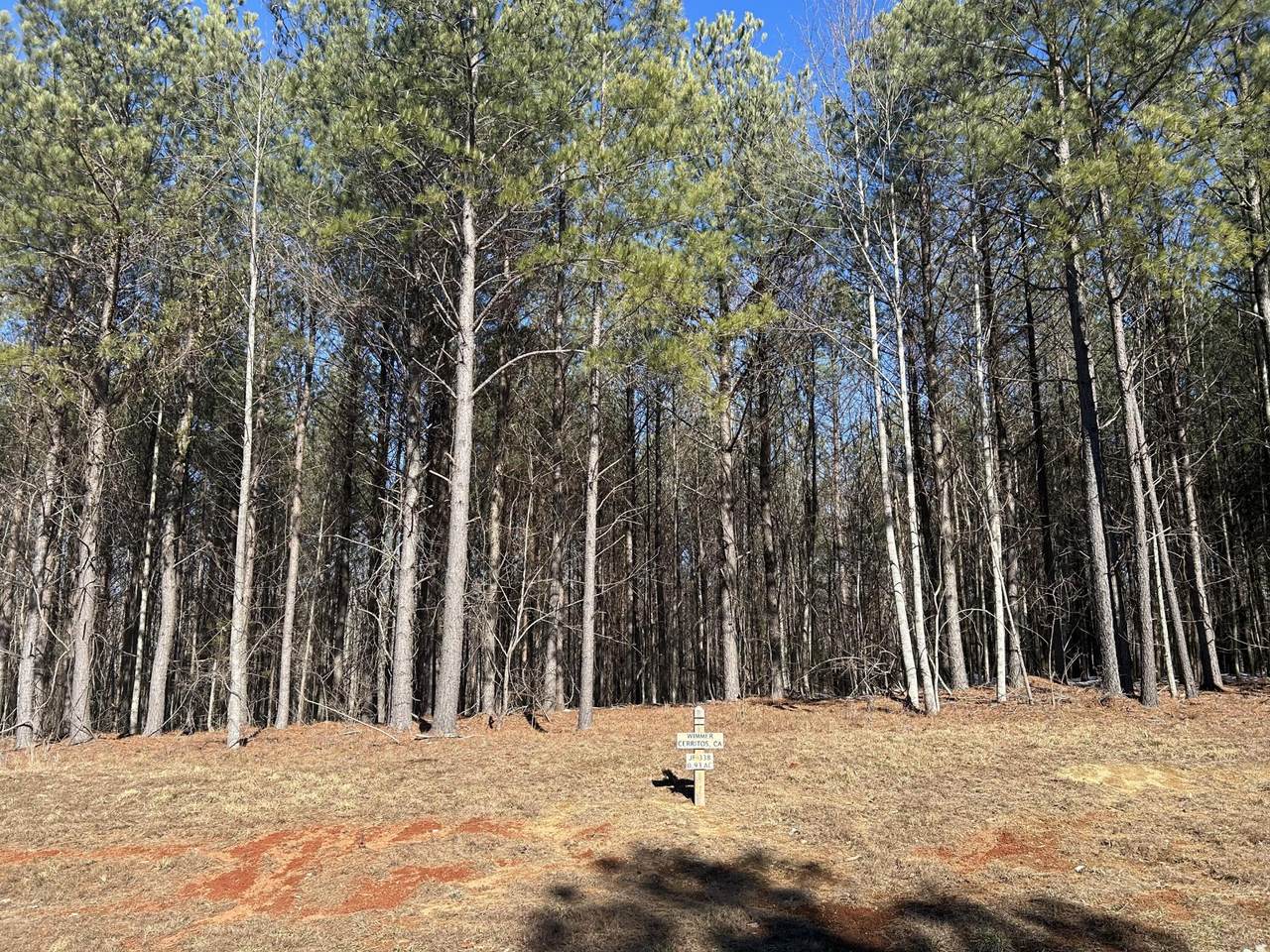 320 Waterwheel Way - Photo 1