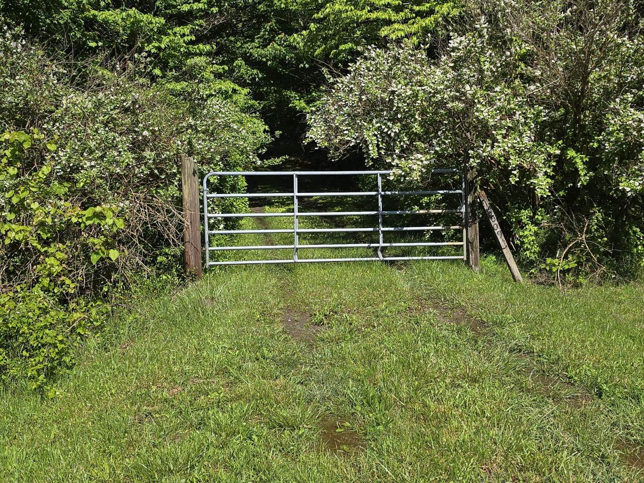 157 Highway - Photo 1