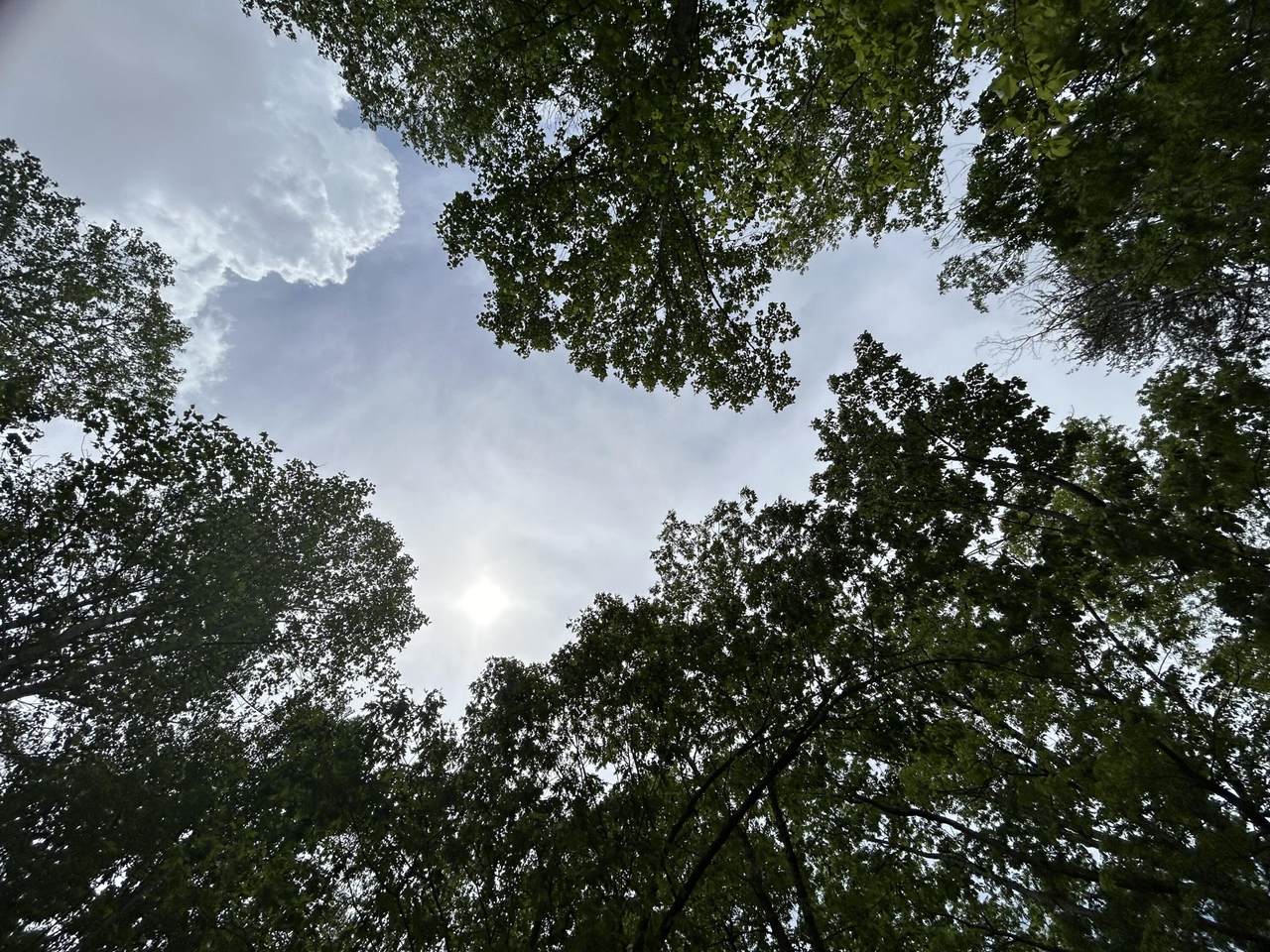 2795 Raulston Falls Road - Photo 1