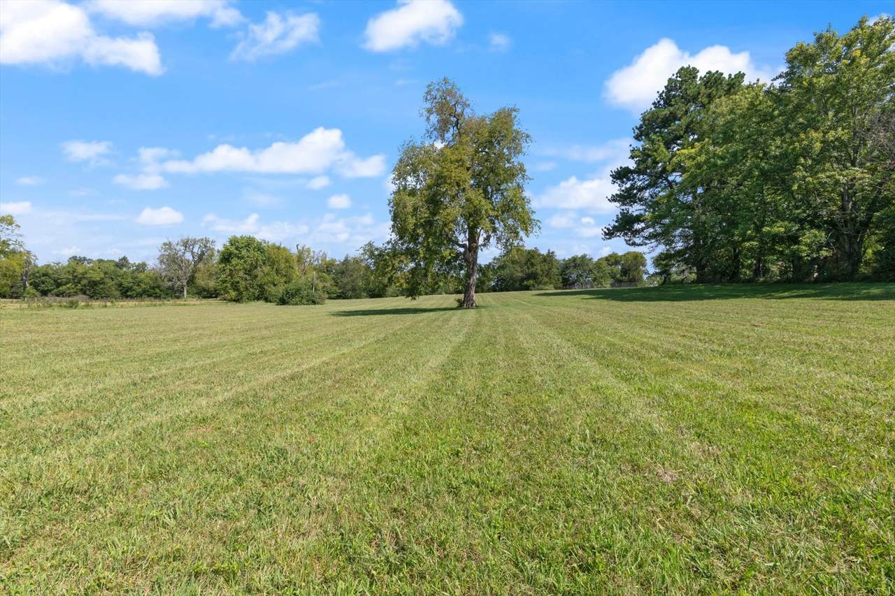 0 Midland Fosterville Rd - Photo 1