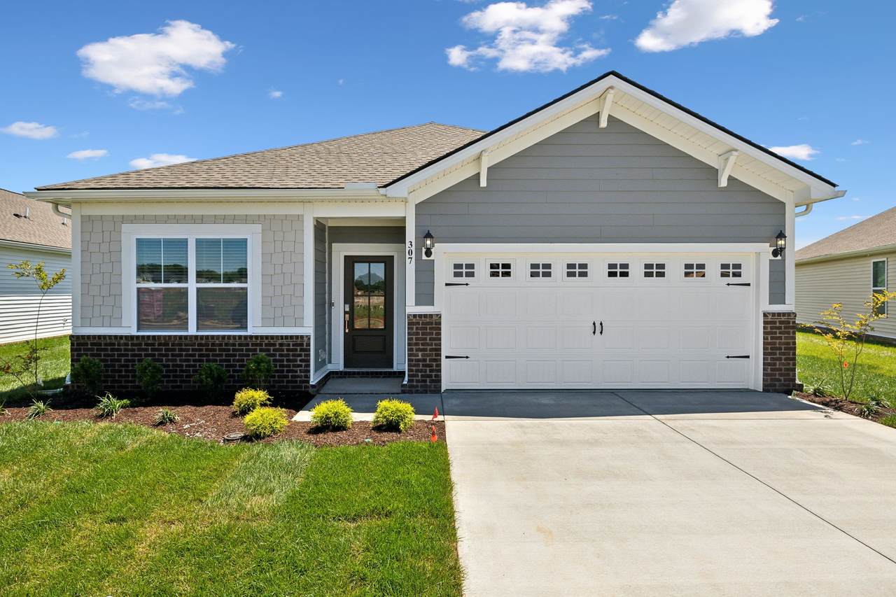 307 Lacewing Ln - Photo 1